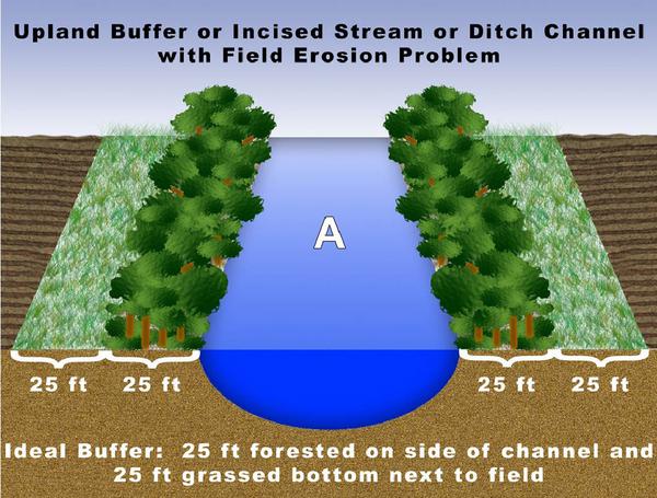 Figure A. Upland buffer or incised stream or ditch channel with